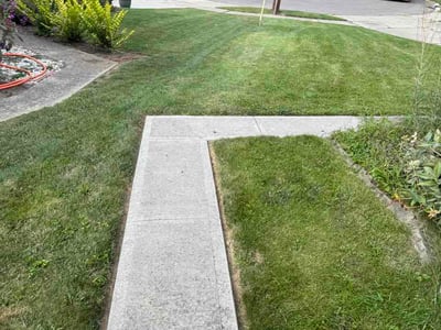 Lawn Care service in Hyde Park, 45208