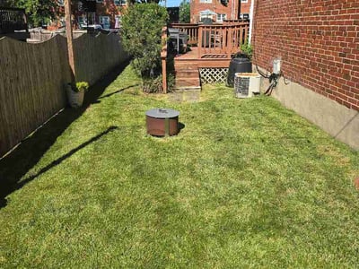 Lawn Care service in Parkville, 21234