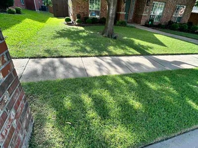 Lawn Care service in Plano, 75074