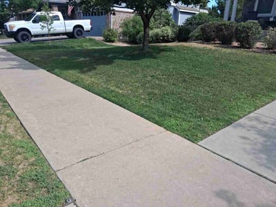 Lawn Care service in Westminster, 80030