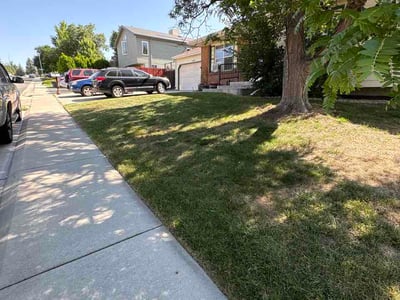 Lawn Care service in Westminster, 80030