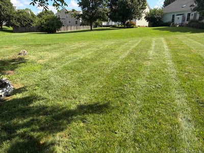 Lawn Care service in Mason, 45040