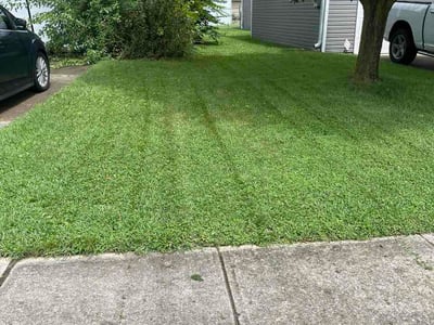 Lawn Care service in Mason, 45040