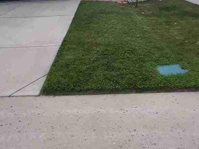 Lawn Care service in Greenwood Village, 80121