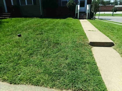 Lawn Care service in Pasadena, 21122