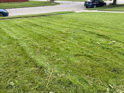 Lawn Care service in Hamilton, 45011