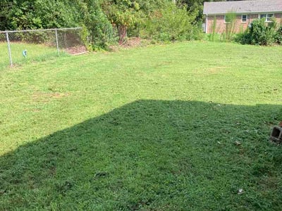 Lawn Care service in Spartanburg, 29306