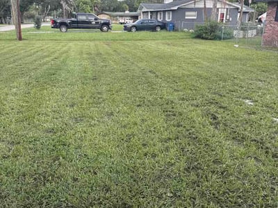 Lawn Care service in ,