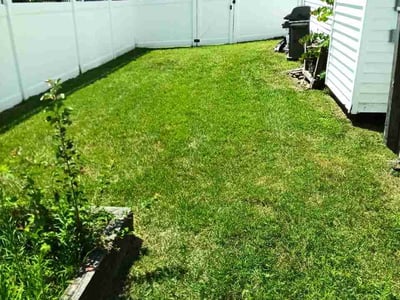 Lawn Care service in Severn, 21144