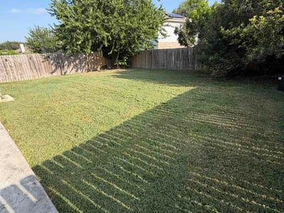 Lawn Care service in Round Rock, 78664