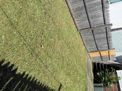 Lawn Care service in Halethorpe, 21227