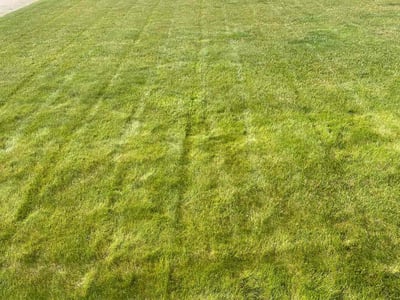Lawn Care service in Monument, 80132