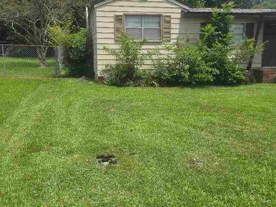 Lawn Care service in Jasper, 35501