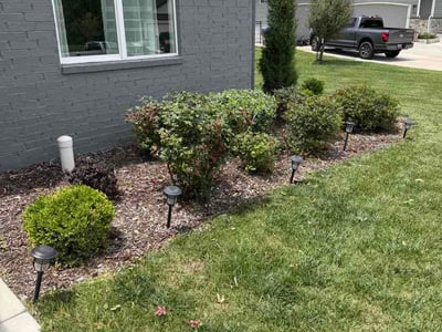 Lawn Care service in Andover, 01810