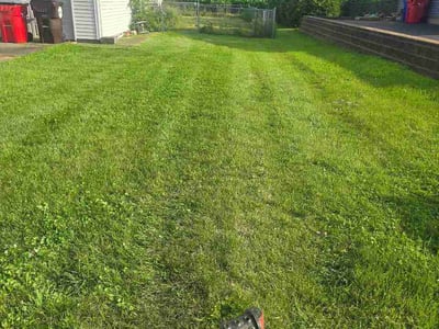 Lawn Care service in Garden Grove, 92843
