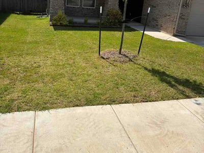 Lawn Care service in Washington, 07882