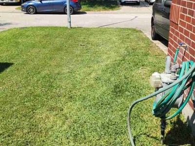 Lawn Care service in Garden Grove, 92843