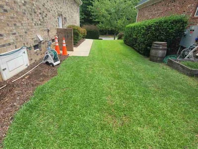 Lawn Care service in Garner, 27529