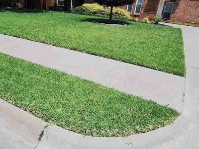 Lawn Care service in Denton, 76201