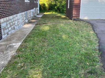 Lawn Care service in Lacey, 98503