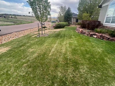 Lawn Care service in Broomfield, 80020