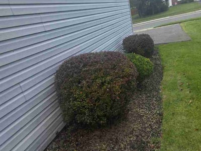 Lawn Care service in Lusby, 20657