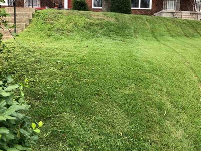 Lawn Care service in Havre De Grace, 21078