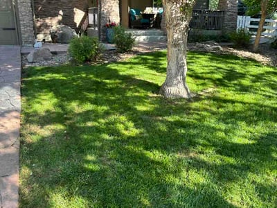 Lawn Care service in Broomfield, 80020