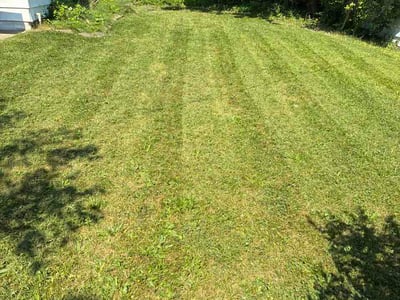 Lawn Care service in Hinckley, 44233