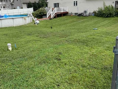 Lawn Care service in Millsboro, 19966