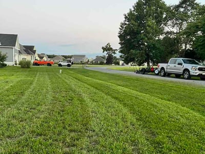 Lawn Care service in Millsboro, 19966