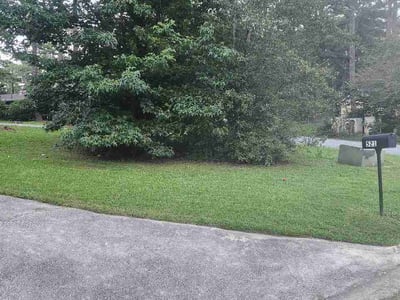 Lawn Care service in Spring Valley, 91977