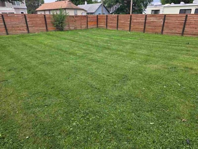 Lawn Care service in San Rafael, 94901