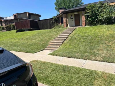 Lawn Care service in Lewisville, 75057