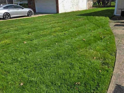 Lawn Care service in Bedford, 44146
