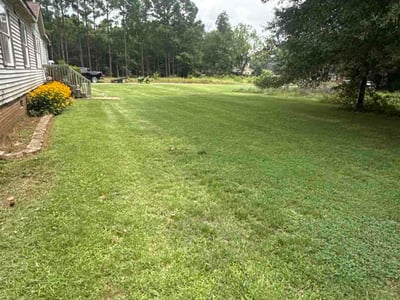 Lawn Care service in Stanley, 28164