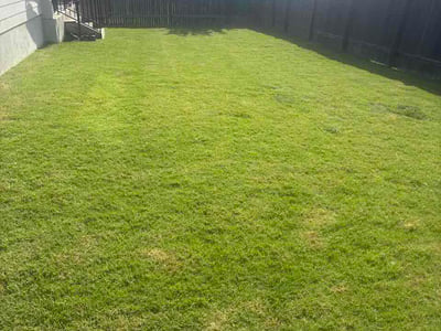 Lawn Care service in Hutto, 78634