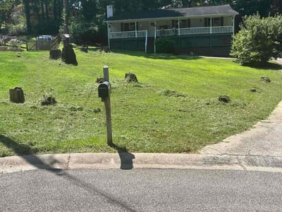 Lawn Care service in Santa Barbara, 93101