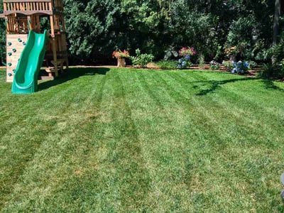 Lawn Care service in Shorewood, 53211