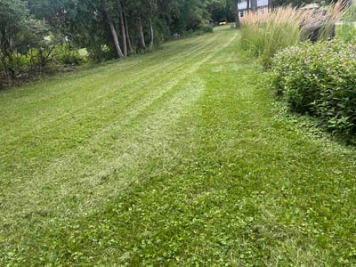 Lawn Care service in Shorewood, 53211