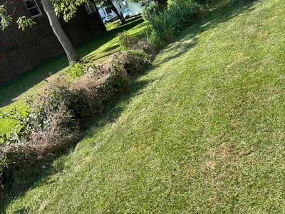 Lawn Care service in Elyria, 44035