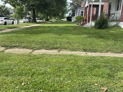 Lawn Care service in Dundalk, 21222