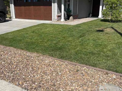 Lawn Care service in El Cajon, 92020