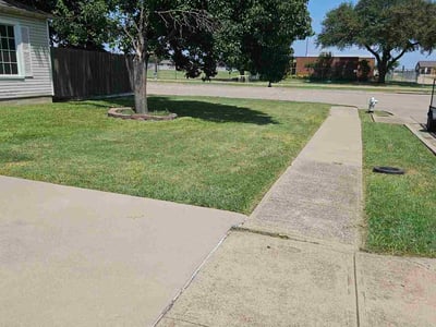 Lawn Care service in Garland, 75040