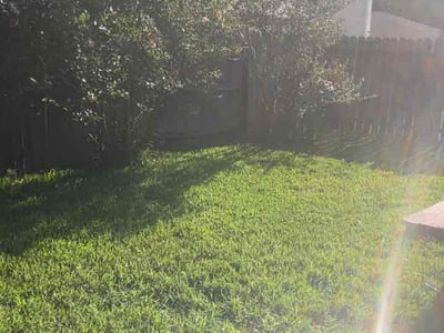 Lawn Care service in El Cajon, 92020