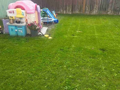 Lawn Care service in Imperial Beach, 91932