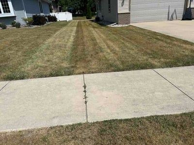 Lawn Care service in Franklin, 53132