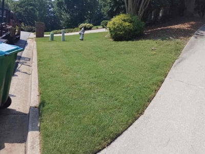 Lawn Care service in Imperial Beach, 91932