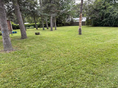 Lawn Care service in Saginaw, 48601