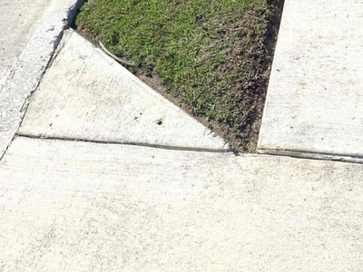 Lawn Care service in Pflugerville, 78660